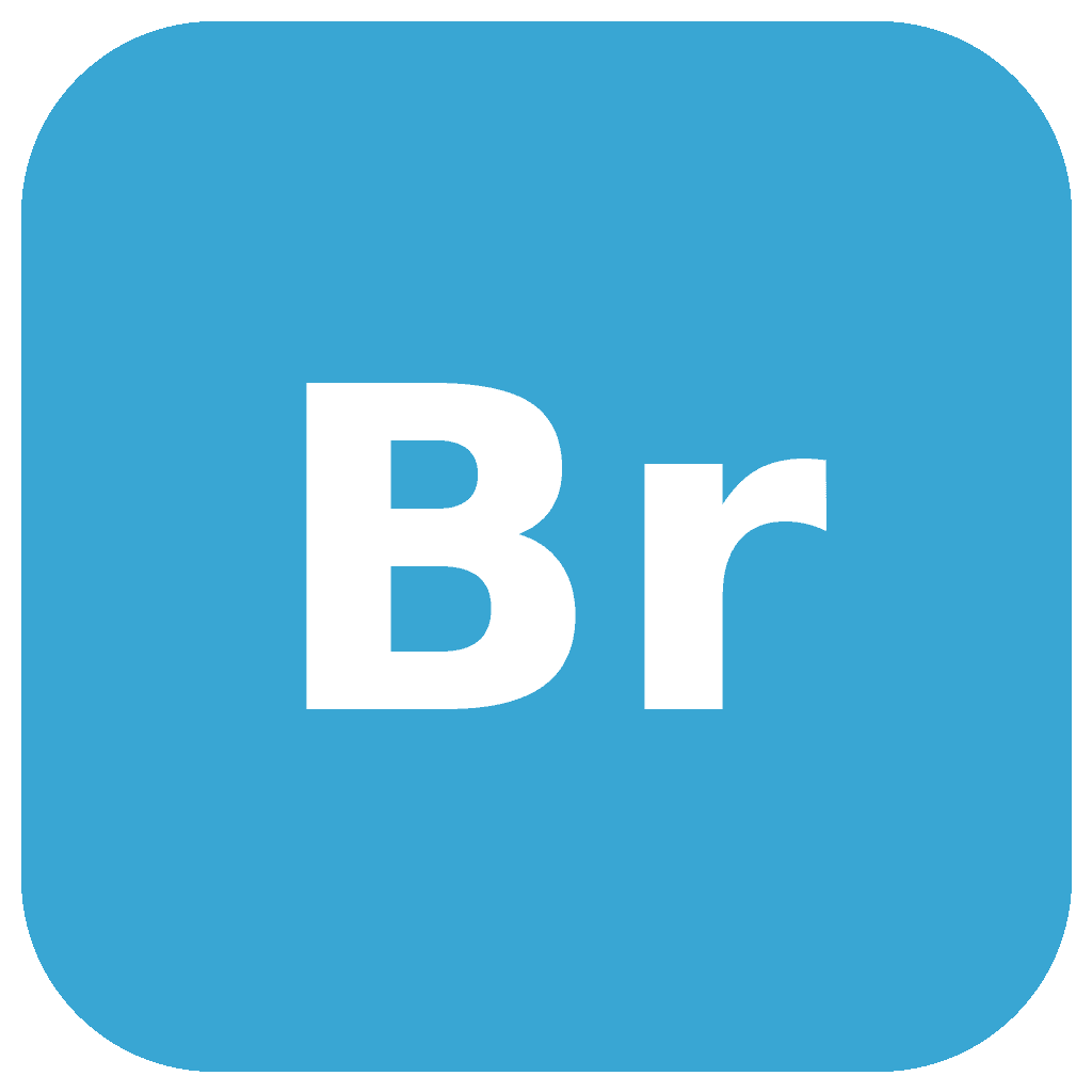 Bria AI logo